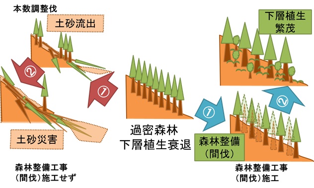 森林整備