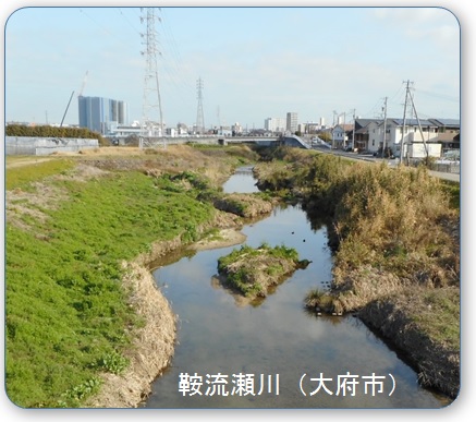 鞍流瀬川