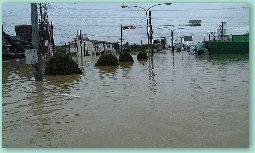 冠水状況(大府市惣作交差点南)